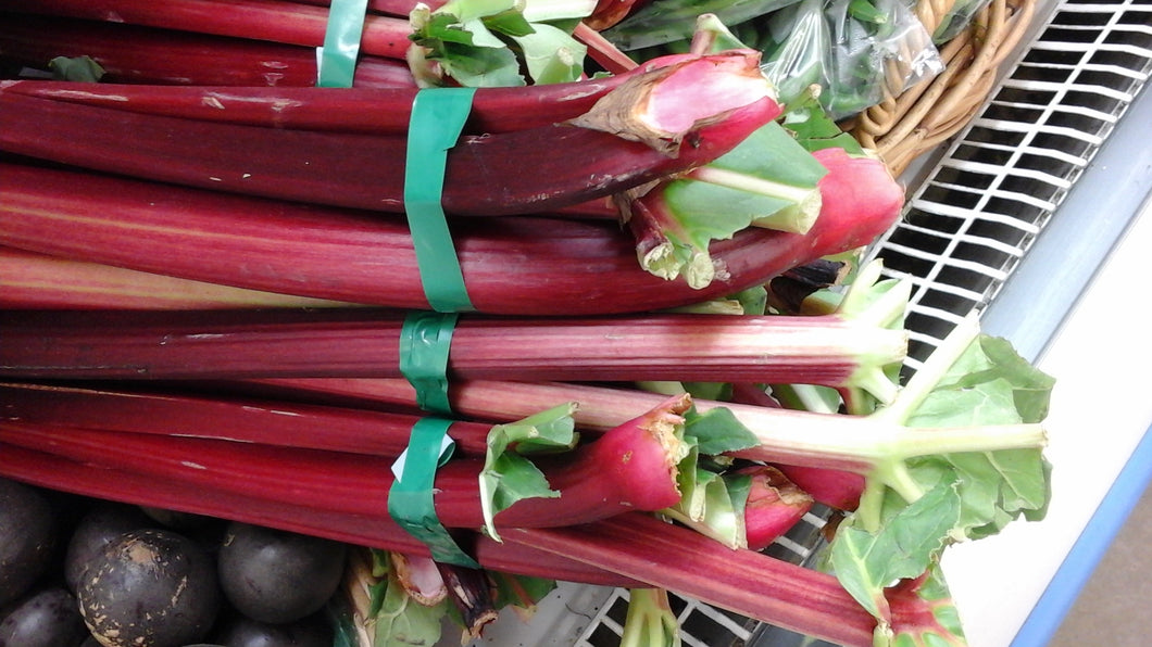 Rhubarb bunch