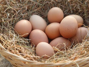 Free Range Eggs Dozen