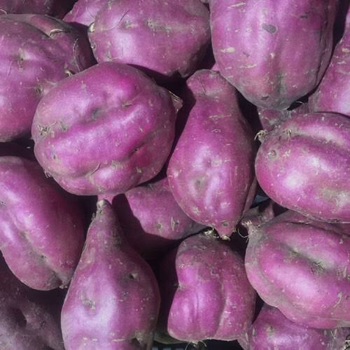 Red Kumara 1KG