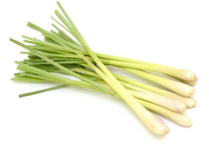 Fresh lemon grass stick